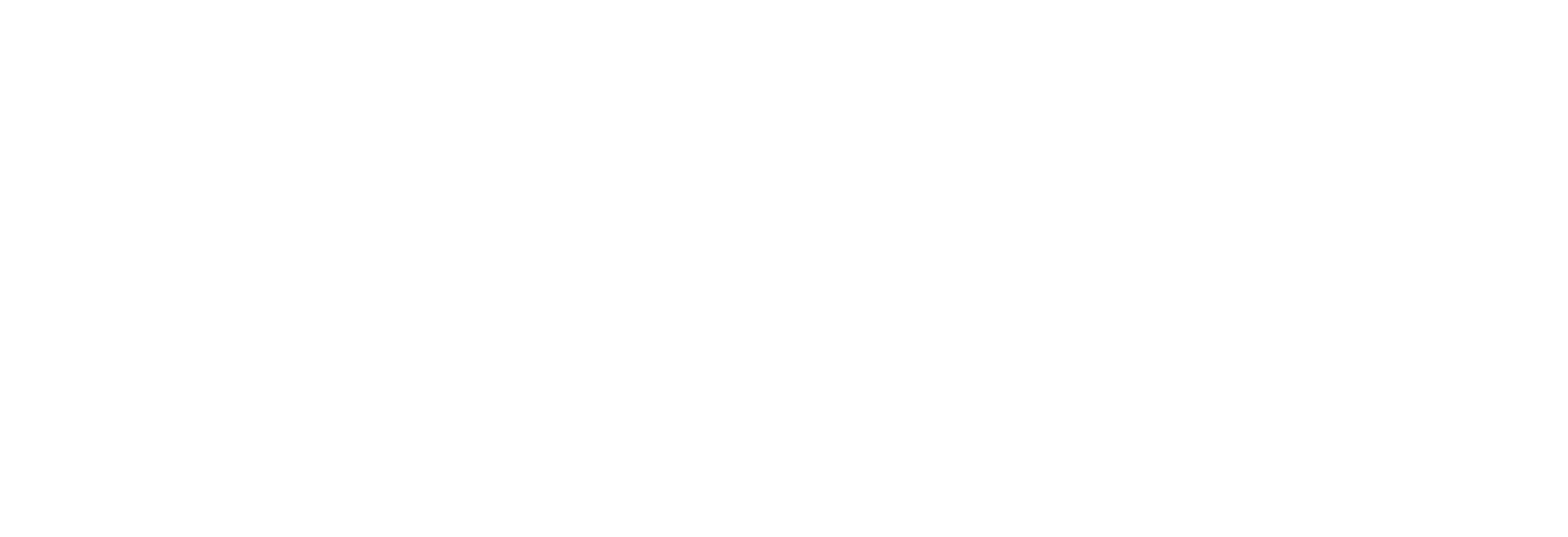 PKF_Logo_Mono White_RGB